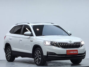 Skoda Kamiq фото 2