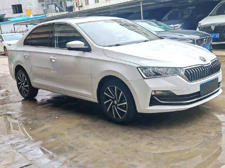 Skoda Rapid — автомобиль под заказ