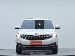 Skoda Kamiq фото 3