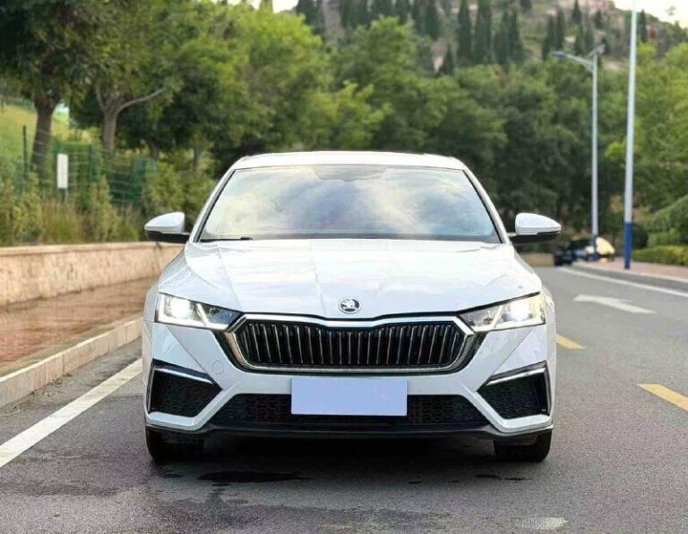Skoda Octavia Pro — автомобиль под заказ