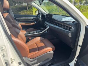Geely X6 Pro фото 8